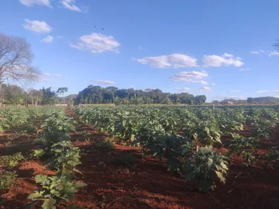Fazenda / Sítio / Chácara com 3 Quartos à venda, 50300m² no , Brasília