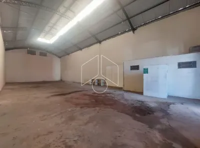 Galpão / Depósito / Armazém à venda, 280m² no Jardim Vitória, Marília
