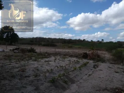 Fazenda / Sítio / Chácara com 2 Quartos à venda, 90m² no , Vera Cruz