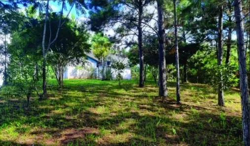 Terreno / Lote / Condomínio com 1 Quarto à venda, 2414m² no , Balsa Nova
