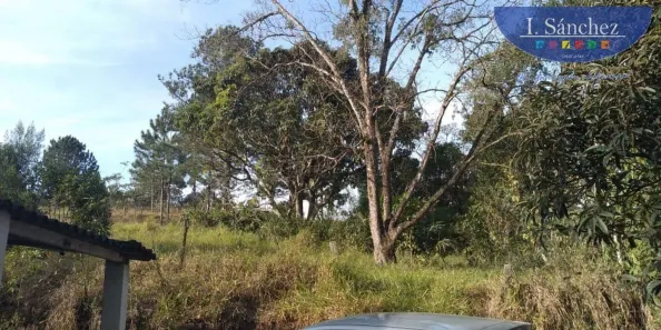 Fazenda / Sítio / Chácara com 2 Quartos à venda, 3000m² no Jardim Rio Negro, Itaquaquecetuba