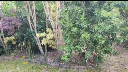 Fazenda / Sítio / Chácara com 5 Quartos à venda, 50000m² no Gravatá Centro, Gravatá