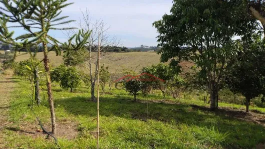 Fazenda / Sítio / Chácara com 4 Quartos para alugar, 80m² no Taboão, Mogi das Cruzes