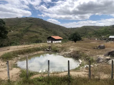 Fazenda / Sítio / Chácara com 3 Quartos à venda, 160000m² no Passira, Passira