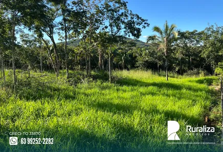 Fazenda / Sítio / Chácara à venda, 137m² no Setor Central, Gurupi