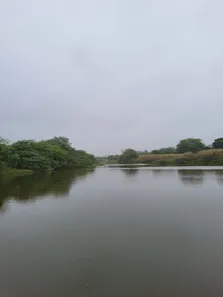 Fazenda / Sítio / Chácara com 4 Quartos à venda, 5500000m² no Centro, Ielmo Marinho