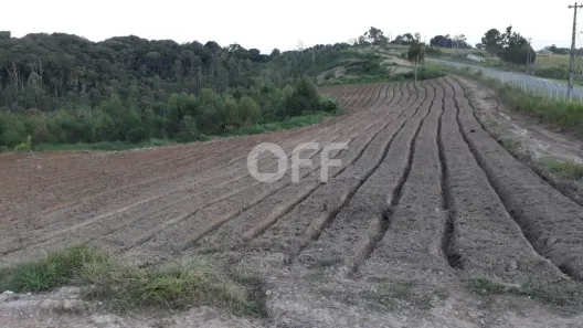 Fazenda / Sítio / Chácara com 1 Quarto à venda, 250m² no Ibiúna, Ibiúna