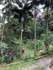 Fazenda / Sítio / Chácara com 3 Quartos para alugar, 10000m² no Vila Moraes, Mogi das Cruzes