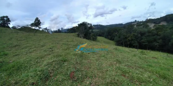 Fazenda / Sítio / Chácara com 3 Quartos à venda, 96800m² no , Guaraniaçu