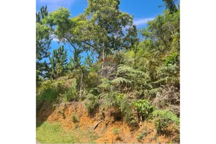 Terreno / Lote / Condomínio à venda, 5030m² no Cuiabá, Petrópolis