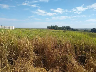 à venda, 104000m² no Jardim Nova Limeira, Limeira