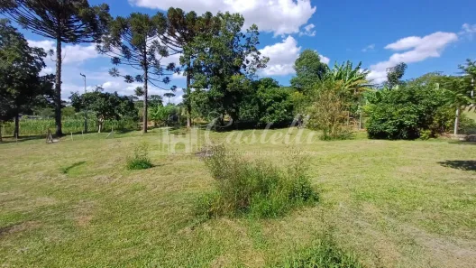 Fazenda / Sítio / Chácara à venda, 5400m² no Piriquitos, Ponta Grossa