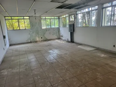 Galpão / Depósito / Armazém para alugar, 1000m² no Triângulo, Pindamonhangaba