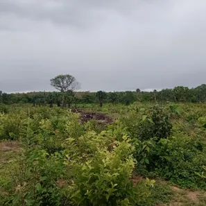Fazenda / Sítio / Chácara à venda, 200m² no , Ponte Alta do Tocantins