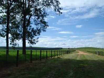 Fazenda / Sítio / Chácara com 3 Quartos à venda, 75m² no , Pompéia