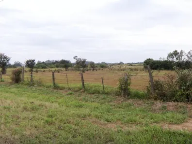 Terreno / Lote Comercial à venda, 73000m² no Maristela, Laranjal Paulista