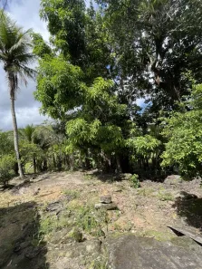 Fazenda / Sítio / Chácara à venda, 31000m² no , Joaquim Gomes