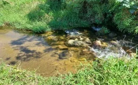 Fazenda / Sítio / Chácara com 3 Quartos à venda, 30000m² no Olaria, Nova Friburgo