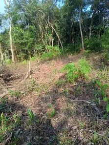 Terreno / Lote / Condomínio à venda, 1502m² no Parque Rio Grande, Rio Grande da Serra