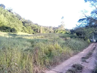Fazenda / Sítio / Chácara com 1 Quarto à venda, 4000m² no Área Rural de Viçosa, Viçosa