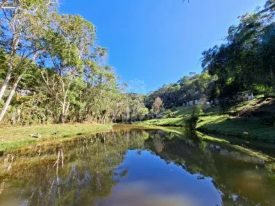 Fazenda / Sítio / Chácara com 4 Quartos à venda, 10000m² no Centro, Juquitiba