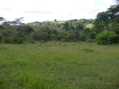 Terreno / Lote / Condomínio à venda, 291666m² no , Simões Filho