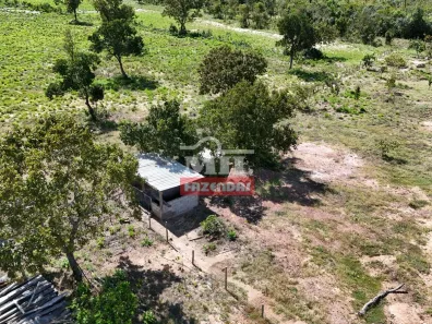 Fazenda / Sítio / Chácara à venda, 500m² no Setor Central, Ponte Alta do Tocantins