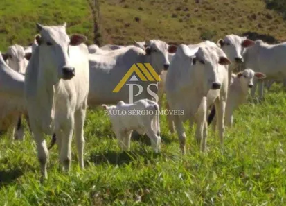 Fazenda / Sítio / Chácara com 3 Quartos à venda, 847000m² no , Rio Bonito