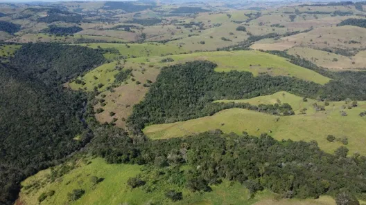 com 1 Quarto à venda, 1080094m² no , Guaraniaçu