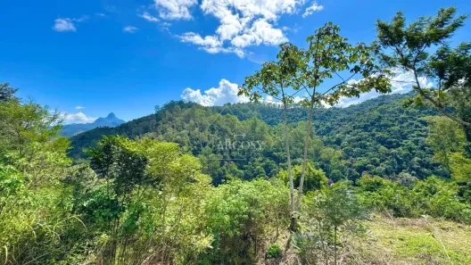 Terreno / Lote / Condomínio à venda, 3900m² no Itaipava, Petrópolis