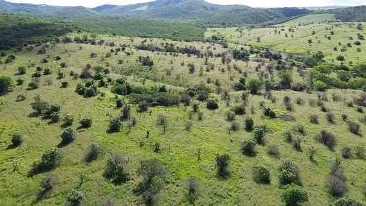 Fazenda / Sítio / Chácara à venda, 2180000m² no Área Rural de Gravatá, Gravatá