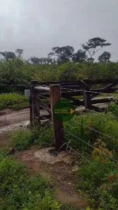 Fazenda / Sítio / Chácara à venda, 13176900m² no , Paranã