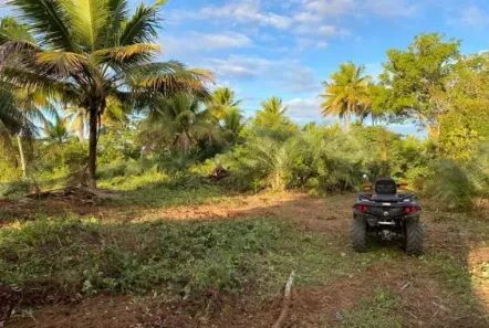 Fazenda / Sítio / Chácara com 9 Quartos à venda, 980000m² no Praia do Forte, Mata de São João