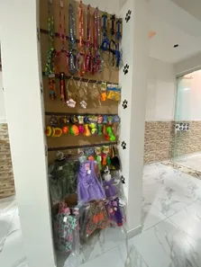 Loja / Salão / Ponto Comercial para alugar, 50m² no Cidade Cruzeiro do Sul, Suzano