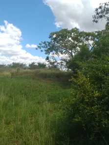 Fazenda / Sítio / Chácara com 4 Quartos à venda, 20000m² no , Feira Nova