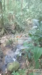 Fazenda / Sítio / Chácara à venda, 54000m² no , Rio Bonito