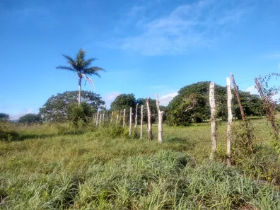 Fazenda / Sítio / Chácara à venda, 23500m² no Alpes Suiços, Gravatá