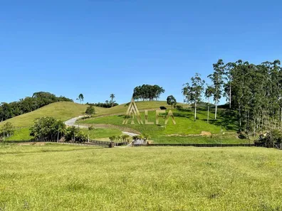Terreno / Lote / Condomínio à venda, 1500m² no Tijipió, São João Batista