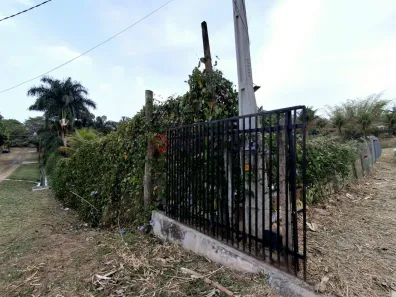 Fazenda / Sítio / Chácara com 3 Quartos para alugar, 5000m² no Parque Serra Dourada, Marília