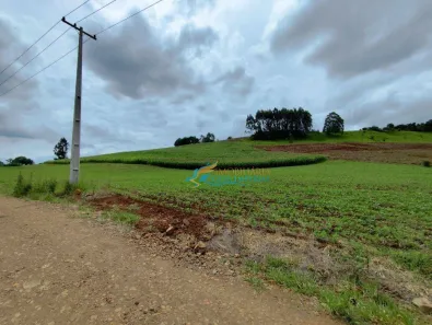 Fazenda / Sítio / Chácara à venda, 242000m² no , Guaraniaçu