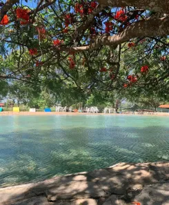 Hotel / Motel / Pousada com 5 Quartos à venda, 14000m² no Ponte Alta Norte, Brasília