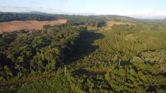 Fazenda / Sítio / Chácara à venda, 44000m² no Área Rural de Almirante Tamandaré, Almirante Tamandaré