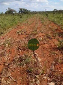 Fazenda / Sítio / Chácara à venda, 5907825m² no , Ponte Alta do Tocantins