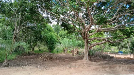 Casa de Condomínio com 1 Quarto à venda, 380m² no Barra do Pojuca (Monte Gordo), Camaçari
