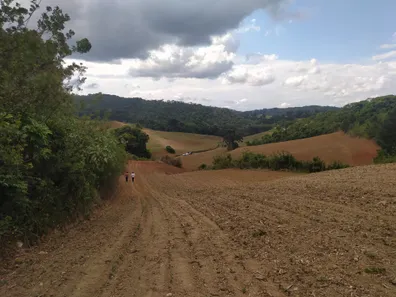 Fazenda / Sítio / Chácara à venda, 48400m² no Pacotuba, Almirante Tamandaré