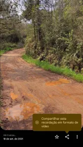 Fazenda / Sítio / Chácara à venda, 14450m² no Área Rural de Almirante Tamandaré, Almirante Tamandaré