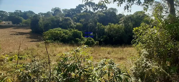 Fazenda / Sítio / Chácara com 2 Quartos à venda, 6000m² no Contenda, Contenda