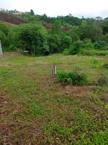 Terreno / Lote / Condomínio à venda, 2769m² no Centro, Piedade