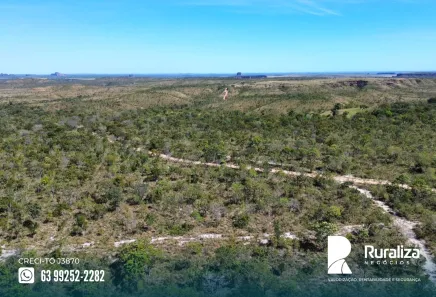 Fazenda / Sítio / Chácara à venda, 4453m² no , Ponte Alta do Tocantins