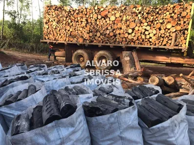 Fazenda / Sítio / Chácara com 4 Quartos à venda, 400m² no Santa Cecília, Pilar do Sul